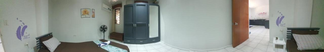 Cosy 2 Bedroom Unit With Pool,Wifi Suva Buitenkant foto